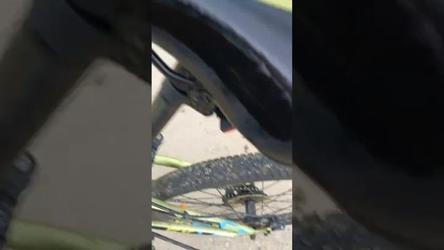 29 июля 2024 г. смотреть онлайн