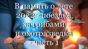 В память о лете 2022 - поездка за грибами и "охотразведка" - часть 1 #мой_мир_поморье