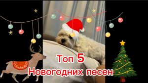 ТОП 5 НОВОГОДНИХ ПЕСЕН 🎄❄️