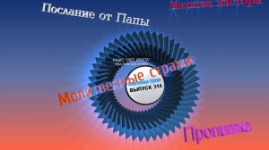 Молитвенные стражи. Выпуск 314. Радио "Свет Христа"