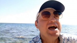 История Чёрного моря и крупных его обитателей.