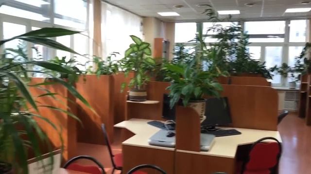 Кампус Университета Синергия на Семеновской