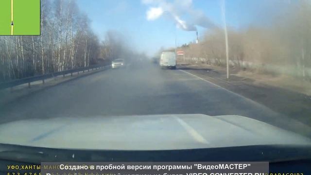 Собака перешла дорогу смотреть онлайн