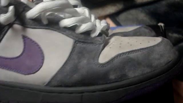 Nike SB purple pigeons..new pickup...#5 смотреть онлайн
