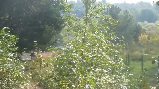 Верю и не верю у реки два берега  - Автор Елена Есаулова музыка Елена Кузнецова поёт Олег Корчагин