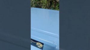 Электронный инкубатор Ряба 100,тоже понравился 140524 электронлӑ чӗпӗ кӑлараканӗ Ряба 100, килӗшрӗ👍