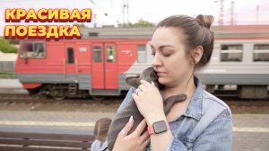 ПОЕЗД МОСКВА-ВЛАДИВОСТОК. Самый длинный маршрут в мире