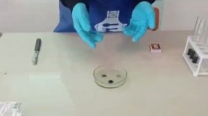 ғылыми жоба қорғау