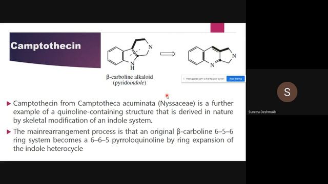 Biosynthesis of  tyrosine and camptothecin alkaloid