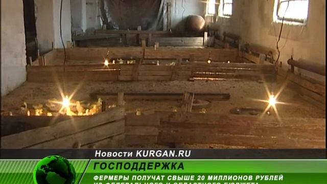 Господдержка в 20 миллионов рублей для свиней и птиц смотреть онлайн