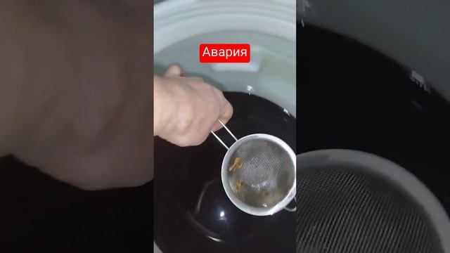 меласса ром очередной косяк без них никак