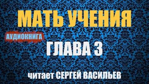 Мать учения - Гл.3 - Горькая правда (аудиокнига Васильев С.)