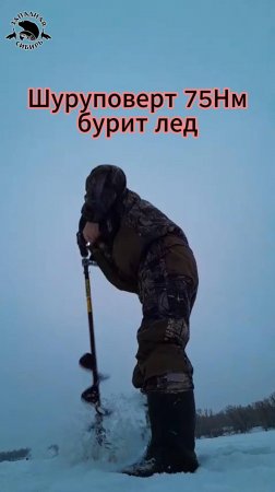 Шуруповерт VoltGear Compact 75Нм от компании Следопыт спокойно бурит лед 150 шнеком💪