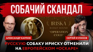 Собачий скандал. Русскую собаку Ириску отменили на европейском «Оскаре»