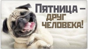 Новый вариант хита "Музыка для дискотеки": "Да здравствует, Пятница!"