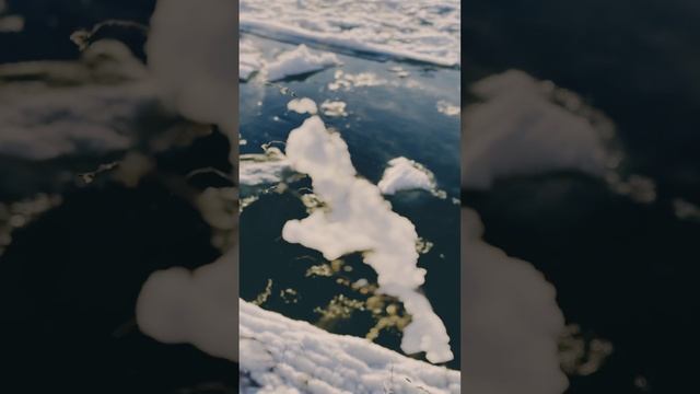 ❄️ Зимняя магия Алтая