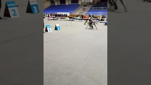 V70128 114126 смотреть онлайн