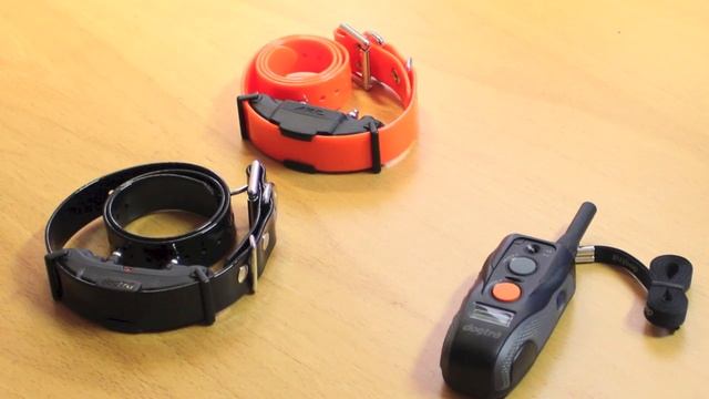 Dogtra ARC 802 смотреть онлайн