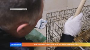 В Мордовии обнаружили 2 случая бешенства