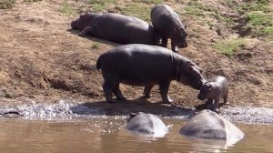 Power up 1 Unit 6 A day out