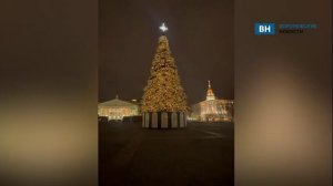 Главная новогодняя ель Воронежа засияла праздничными огнями