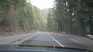 Спасая кота, мальчик упал с 5 го этажа…