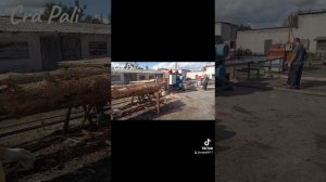 #Cra Pali Работа На Пилораме..