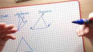 Биссектриса, медиана, высота треугольника. Разбираемся. Геометрия 7 класс