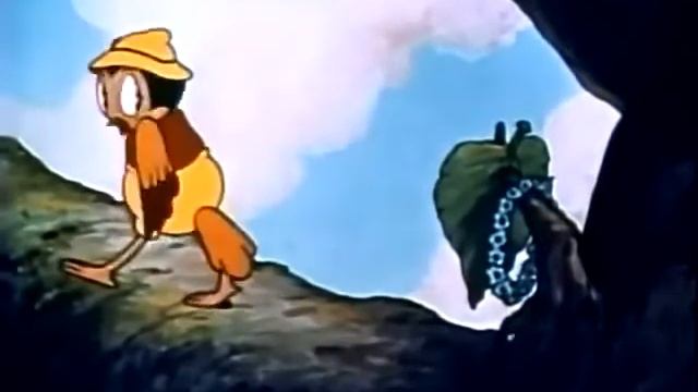 Hawaiian Birds 1936 _ Public domain _ Общественное достояние