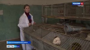 ВЕСТИ-КРЫМ: выпуск 05.12.2024 21:10