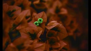 Бывает в жизни так