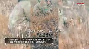 Сводки за 05.12.24