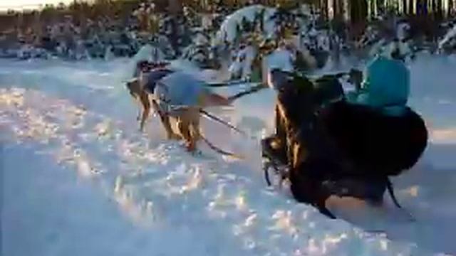 Гроша и санки 2 смотреть онлайн