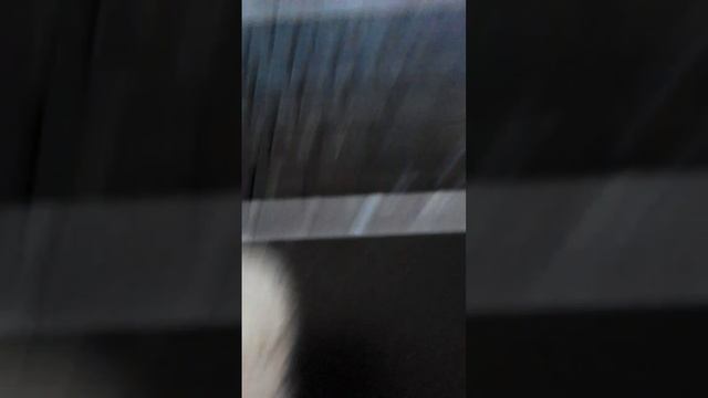 СССР #россия #украина #германия #казахстан #индия #китай #беларусь #сша смотреть онлайн