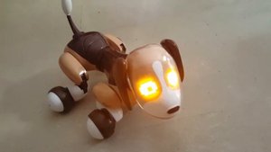 Интерактивная собака Zoomer -игрушки для детей