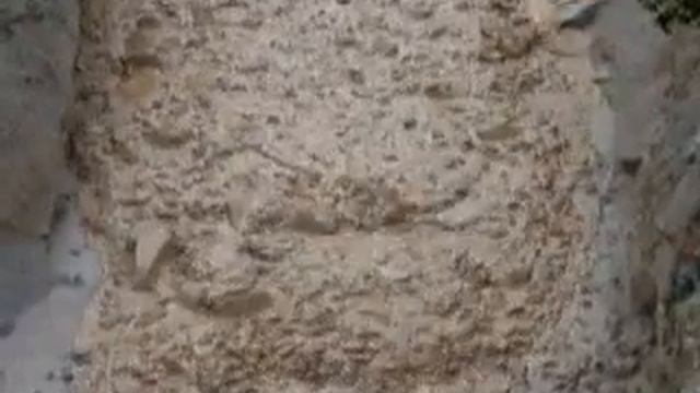 Сель смотреть онлайн