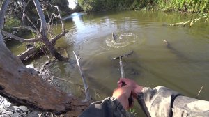 ЗАБРАЛИСЬ В ДЕБРИ ДАЛЬШЕ ПУТИ НЕТ РЫБАЛКА В АСТРАХАНИ