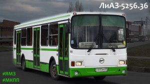 ЛиАЗ-5256.36 (ЯМЗ-6563.10 & ЯМЗ-2361)
