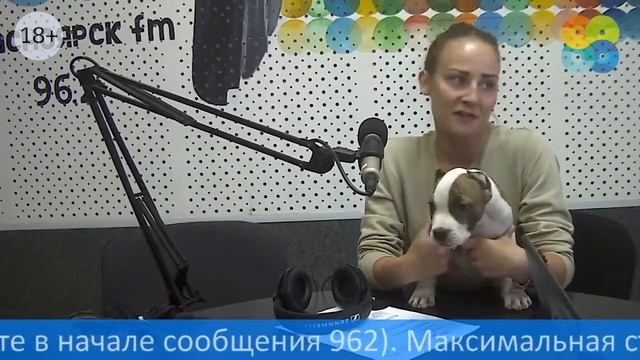 Новая династия на радио 96,2 FM смотреть онлайн