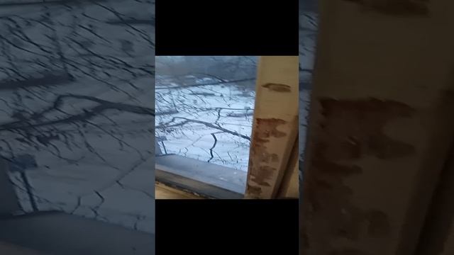 вот какая зима у меня в Москве.
А у вас?