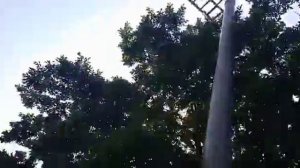 Реакция на Наливкина. 7 выпуск - Акция протеста (часть 3)