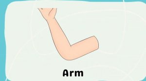 BODY PARTS VOCABULARY and QUIZ