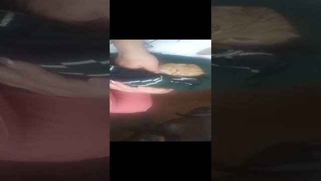 VID_20241207_131226.mp4 смотреть онлайн