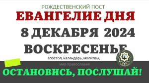 8 ДЕКАБРЯ ВОСКРЕСЕНЬЕ ЕВАНГЕЛИЕ АПОСТОЛ ДНЯ ЦЕРКОВНЫЙ КАЛЕНДАРЬ 2024 #мирправославия