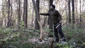 Рубка дерева ножом | Метод бобра | Высечение искры