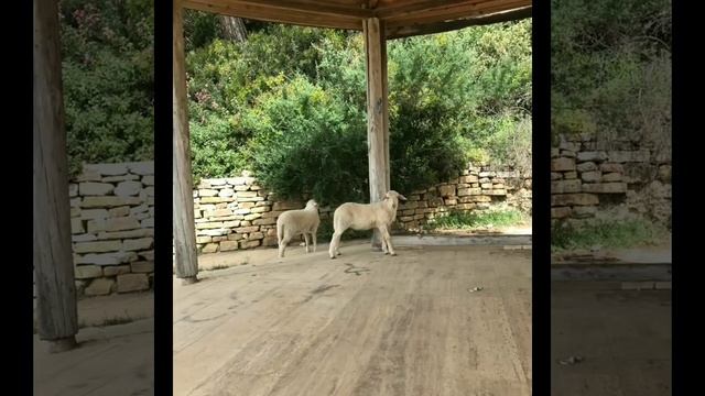 деревенский дневник очень многодетной мамы/ дети в ловушке смотреть онлайн