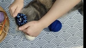 Главная рукодельница