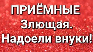 Приёмные/Обзор.