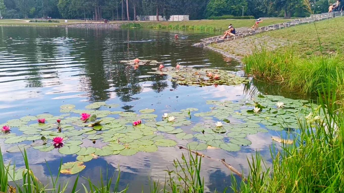Летенские сады. Прогулки по ним порождают меланхолию и глубокие размышления о жизни. Прага. 2024 год