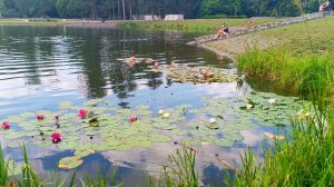 Летенские сады. Прогулки по ним порождают меланхолию и глубокие размышления о жизни. Прага. 2024 год